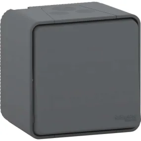 SCHNEIDER MUR35021 - Va et vient Mureva Saillie Complet Gris